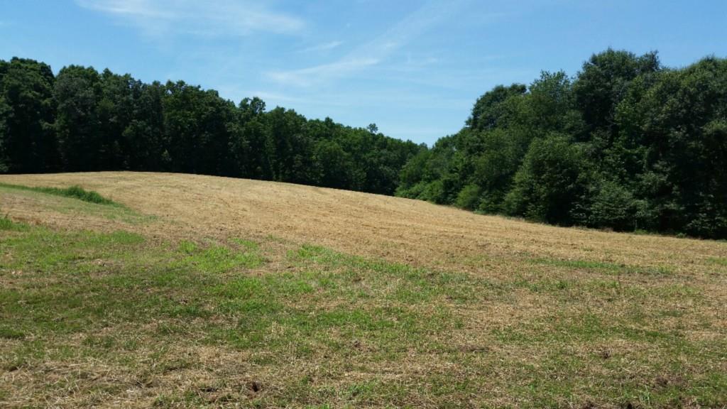 0 Maxwell Mill Road Dewy Rose, GA 30634 - Photo 1 of 1