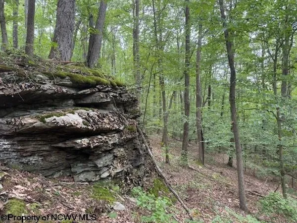 $99,000 | Tbd Simpson Road, Belington, WV 26250