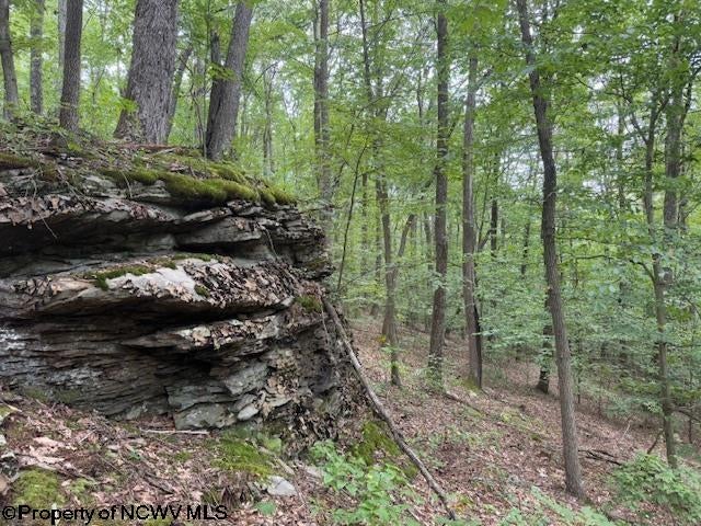 Tbd Simpson Road Belington, WV 26250 - Photo 1 of 30 Gallery Image 1