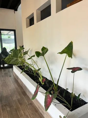 a view of swimming pool from a balcony