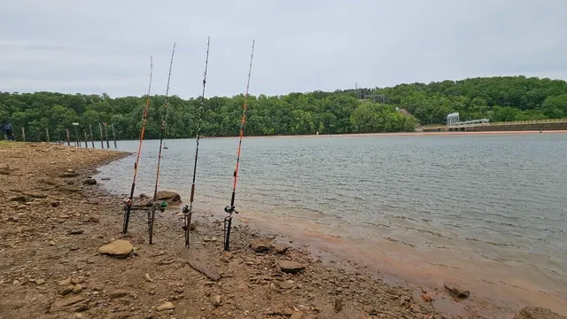 $392,000 | 1010 Poplar Rdg Drive, Pittsville, VA 24139