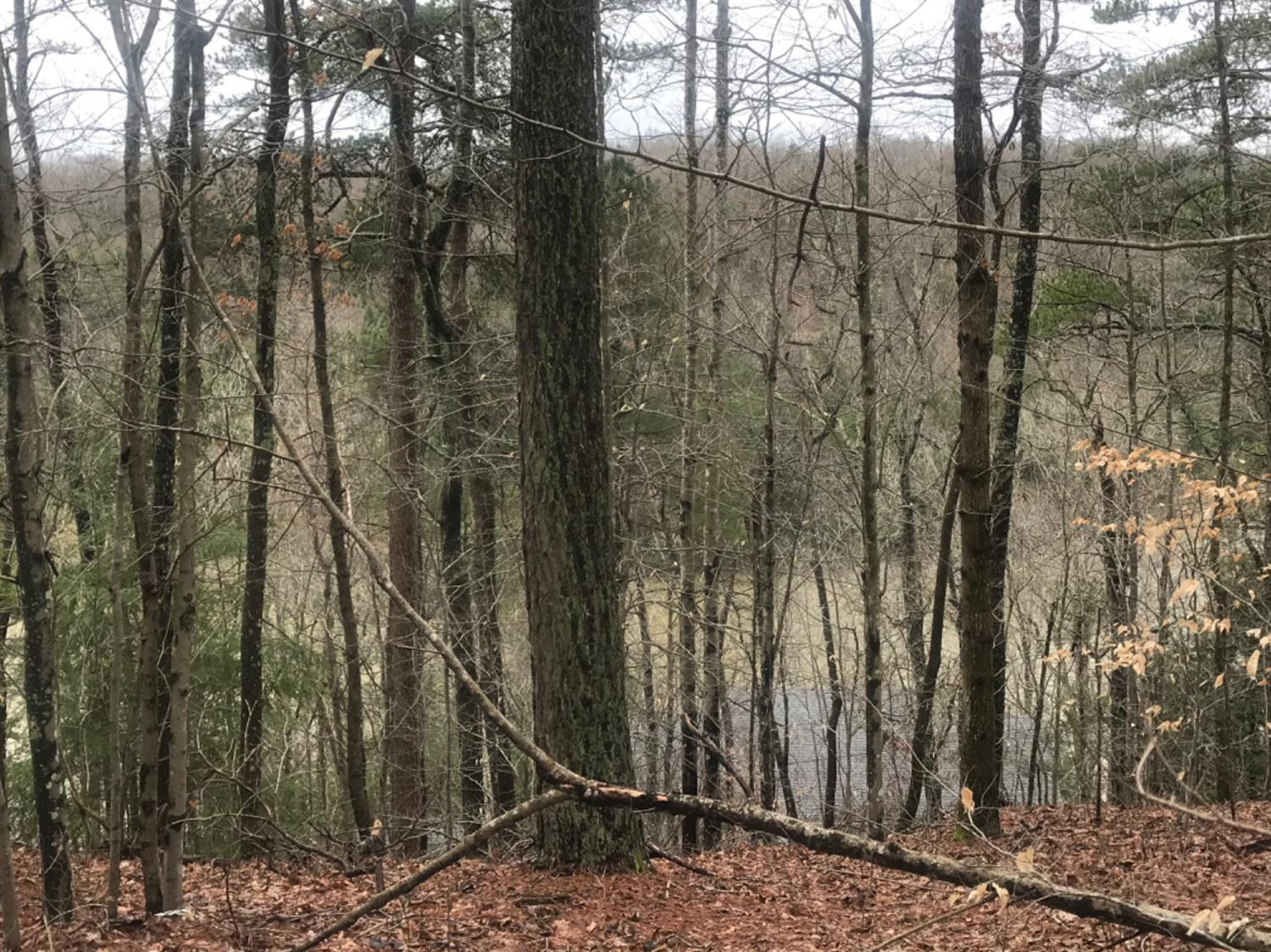 999 Laurel Cove Road London, KY 40741 - Photo 11 of 15 Photo 11