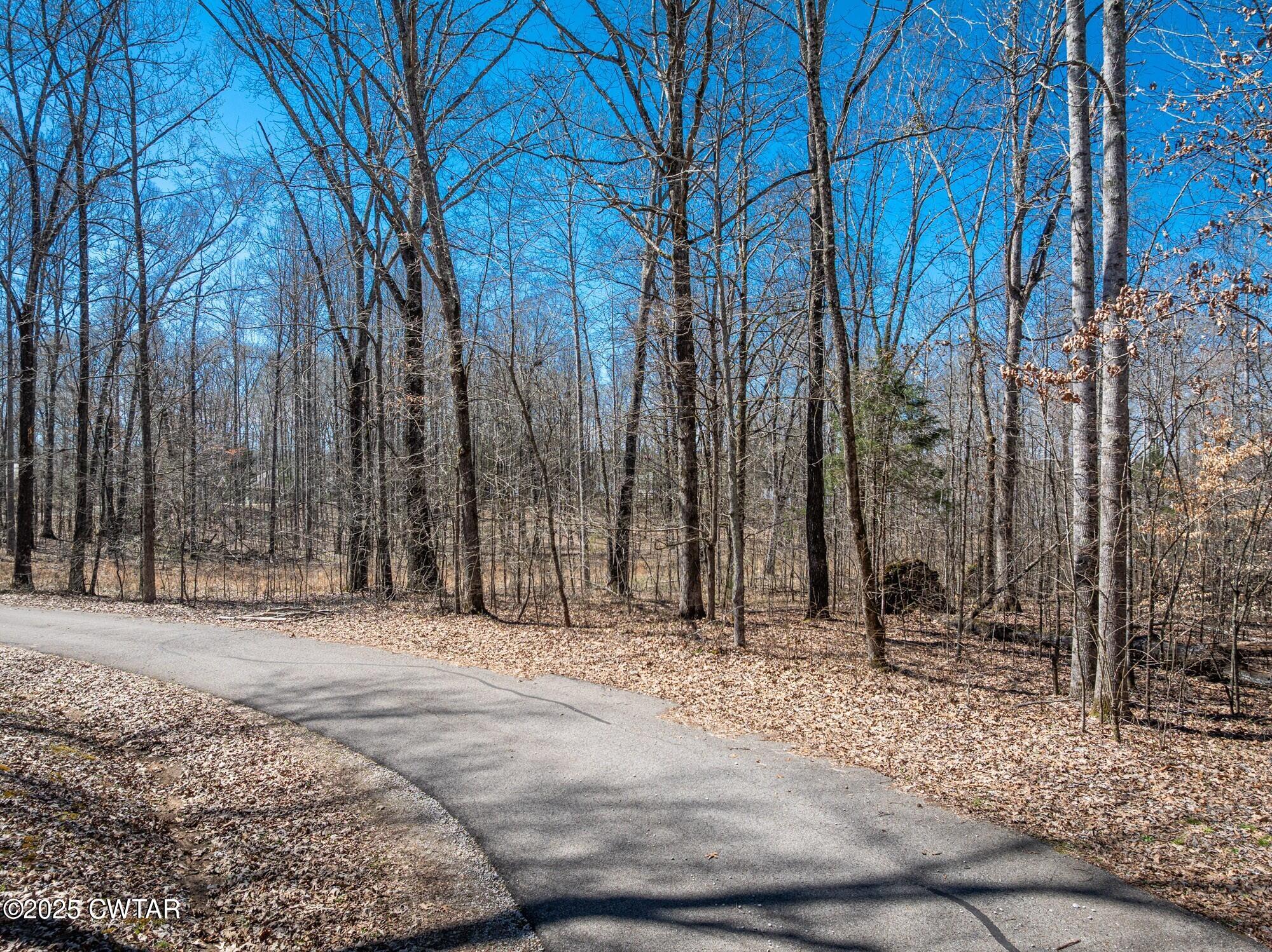 Lot 80 Featherfoot Pkwy Loop Parsons, TN 38363 - Photo 4 of 10 3