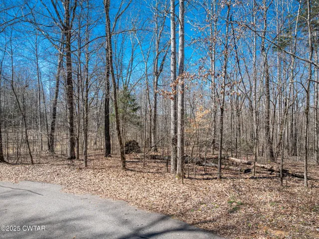 $36,900 | Lot 80 Featherfoot Pkwy Loop, Parsons, TN 38363