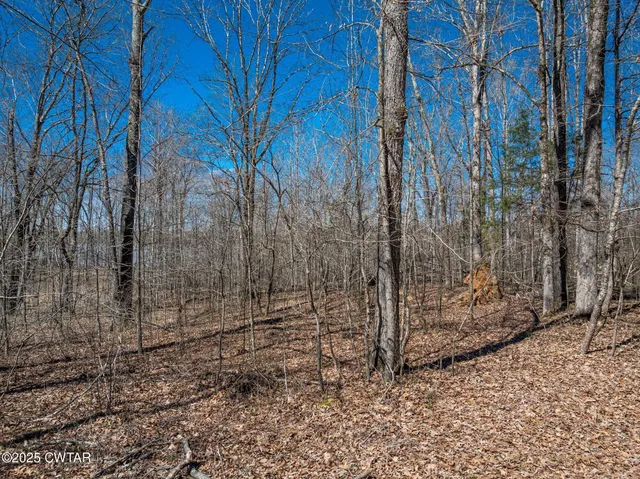 $36,900 | Lot 80 Featherfoot Pkwy Loop, Parsons, TN 38363