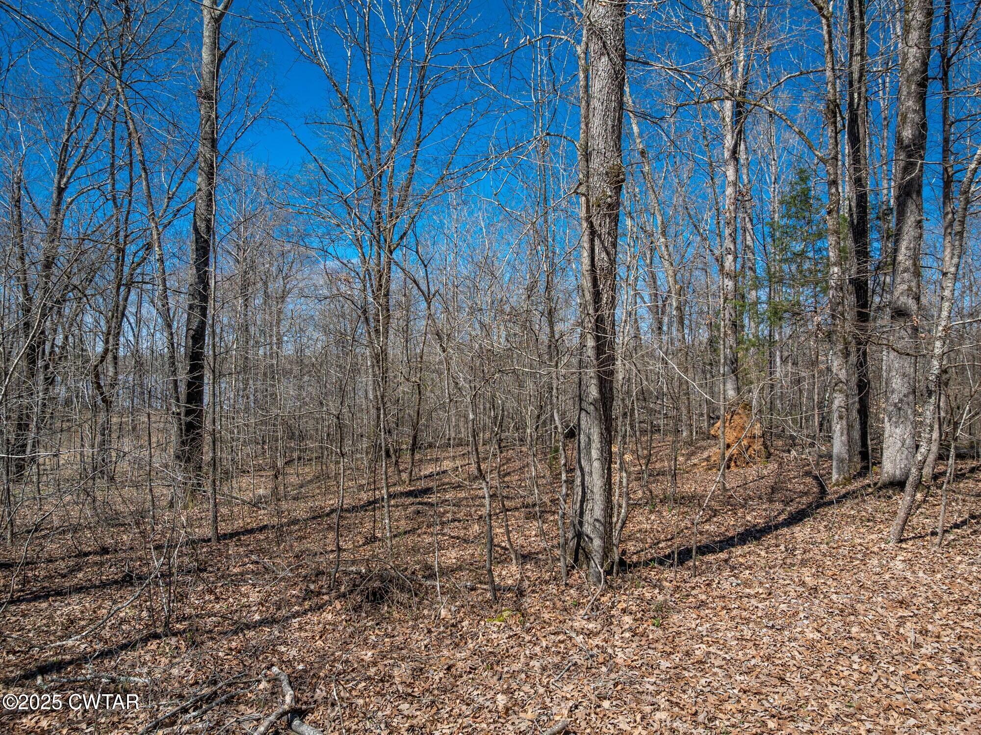 Lot 80 Featherfoot Pkwy Loop Parsons, TN 38363 - Photo 6 of 10 5