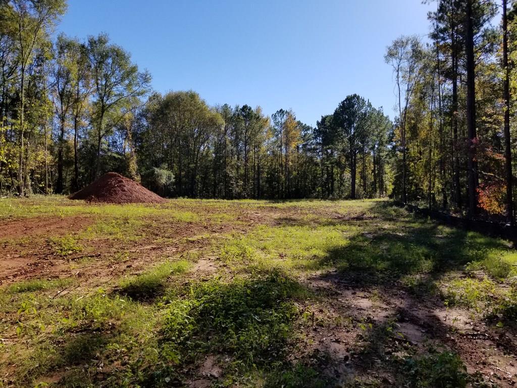 0 Hadley Road Pine Mountain, GA 31822 - Photo 1 of 11 Main View