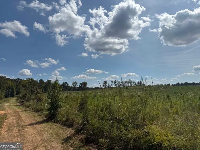 $273,325 | 2430 Myricks Mill Road, Jeffersonville, GA 31044