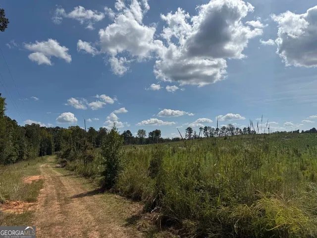 $273,325 | 2430 Myricks Mill Road, Jeffersonville, GA 31044