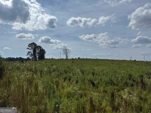 $273,325 | 2430 Myricks Mill Road, Jeffersonville, GA 31044