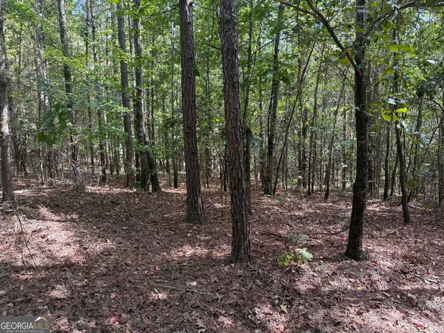 $273,325 | 2430 Myricks Mill Road, Jeffersonville, GA 31044