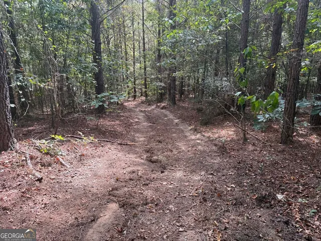 $273,325 | 2430 Myricks Mill Road, Jeffersonville, GA 31044