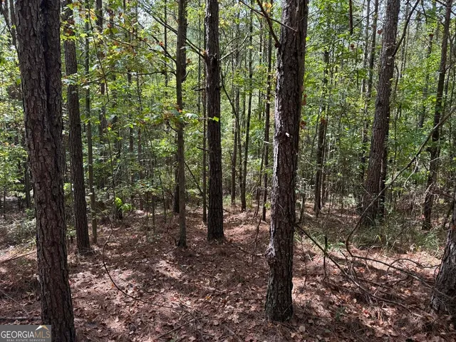 $273,325 | 2430 Myricks Mill Road, Jeffersonville, GA 31044