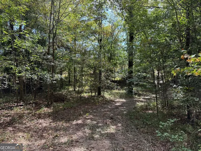 $273,325 | 2430 Myricks Mill Road, Jeffersonville, GA 31044