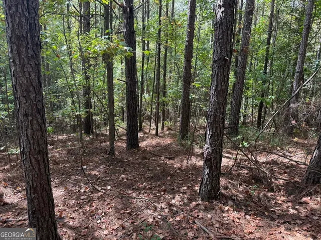 $273,325 | 2430 Myricks Mill Road, Jeffersonville, GA 31044