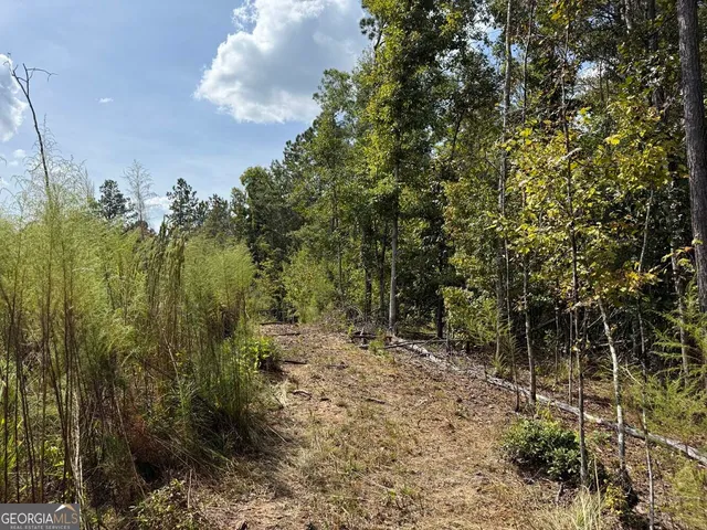 $273,325 | 2430 Myricks Mill Road, Jeffersonville, GA 31044