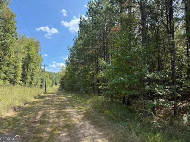 $273,325 | 2430 Myricks Mill Road, Jeffersonville, GA 31044