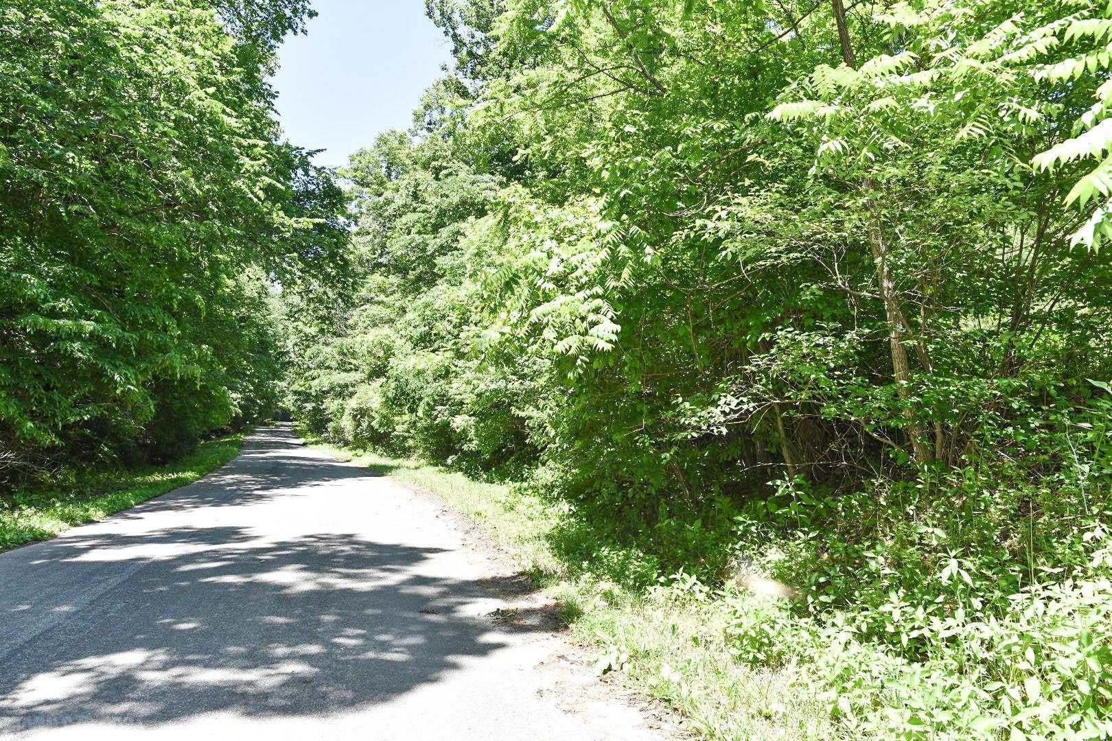Tbd Mash Run Road Blacksburg, VA 24060 - Photo 6 of 9 Gallery Image 6