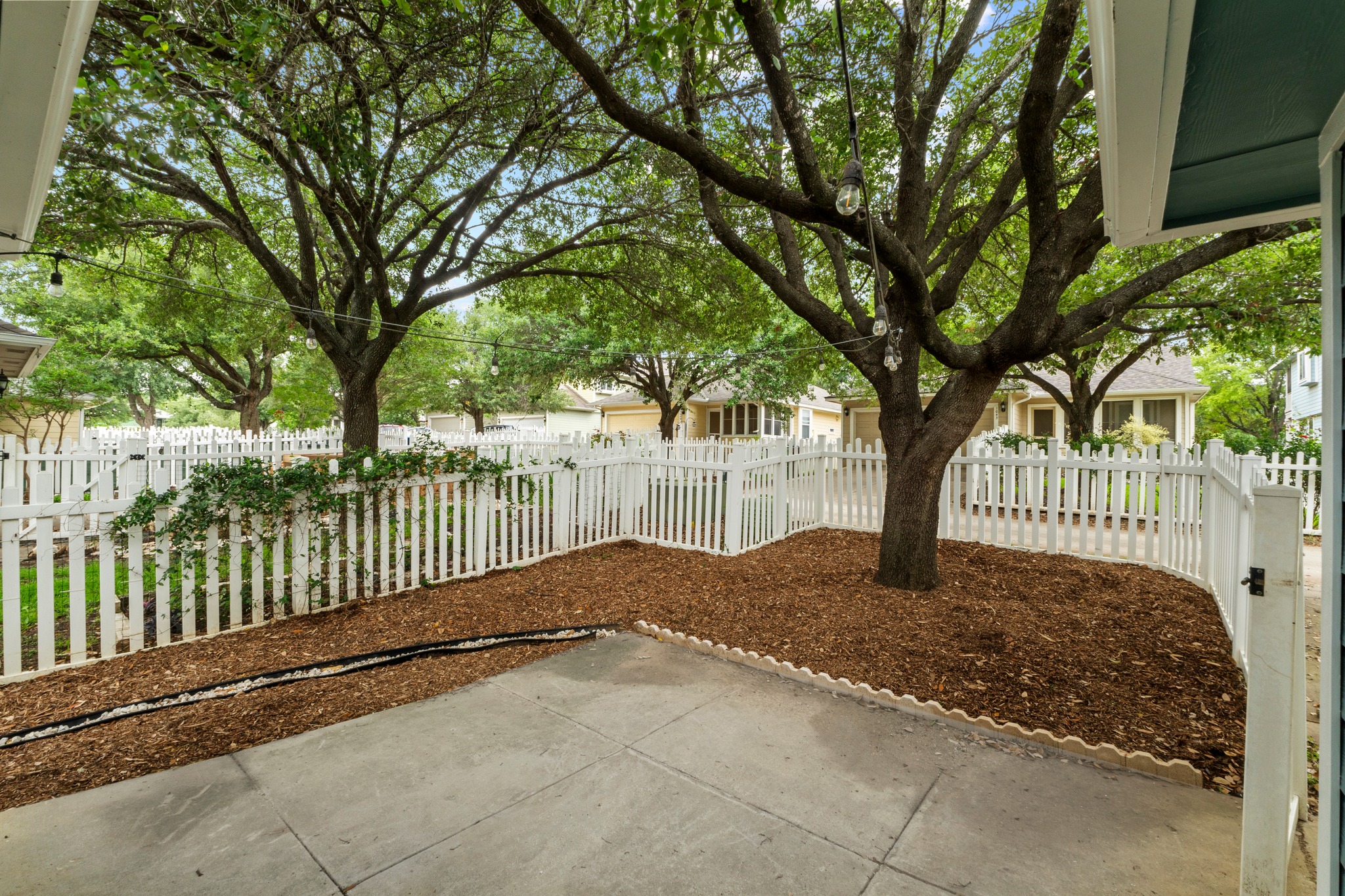 1042 Monadale Trail Round Rock, TX 78664 - Photo 27 of 40 a view of a yard with a large trees