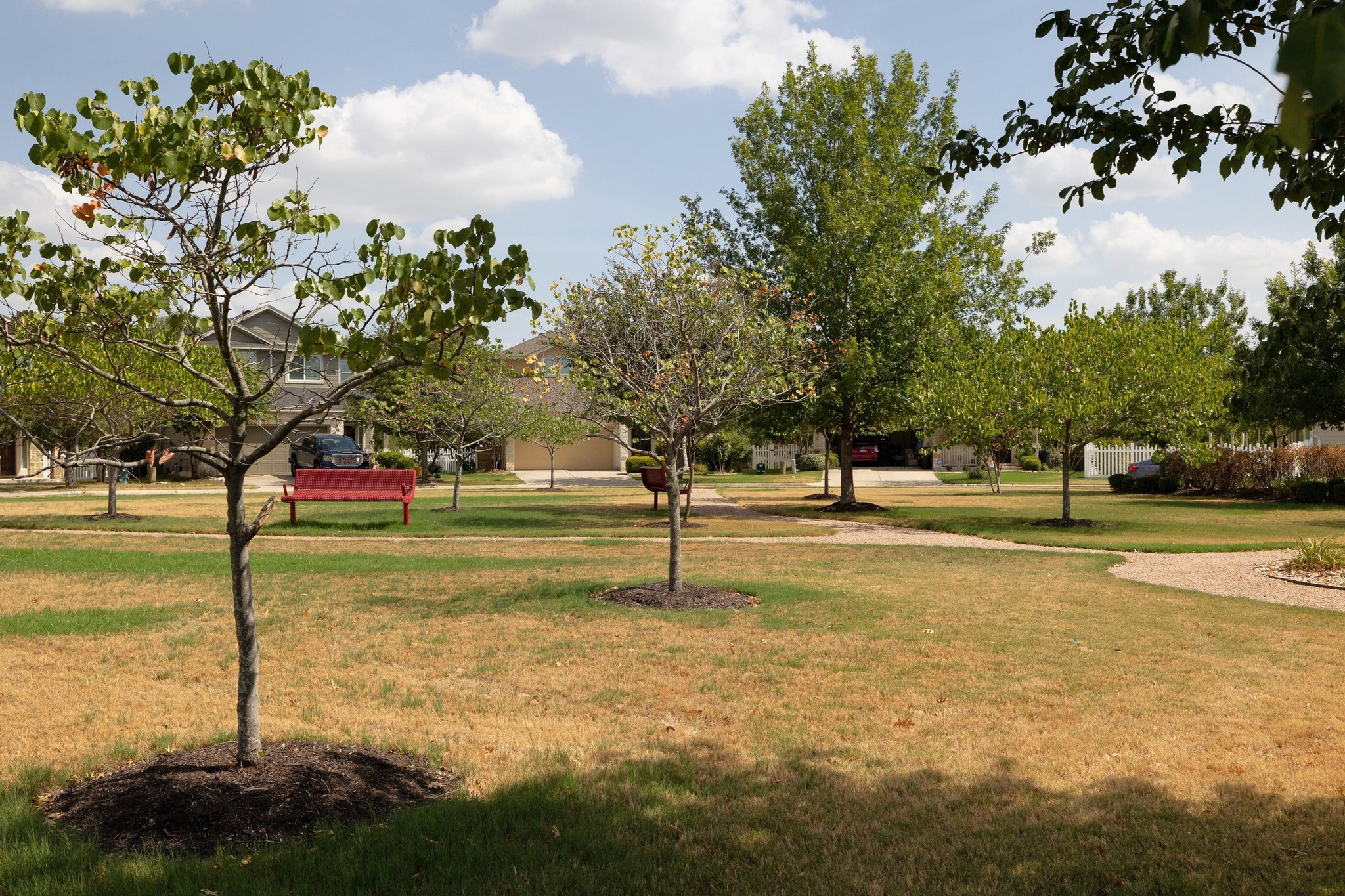1042 Monadale Trail Round Rock, TX 78664 - Photo 39 of 40 a view of yard with swimming pool and trees