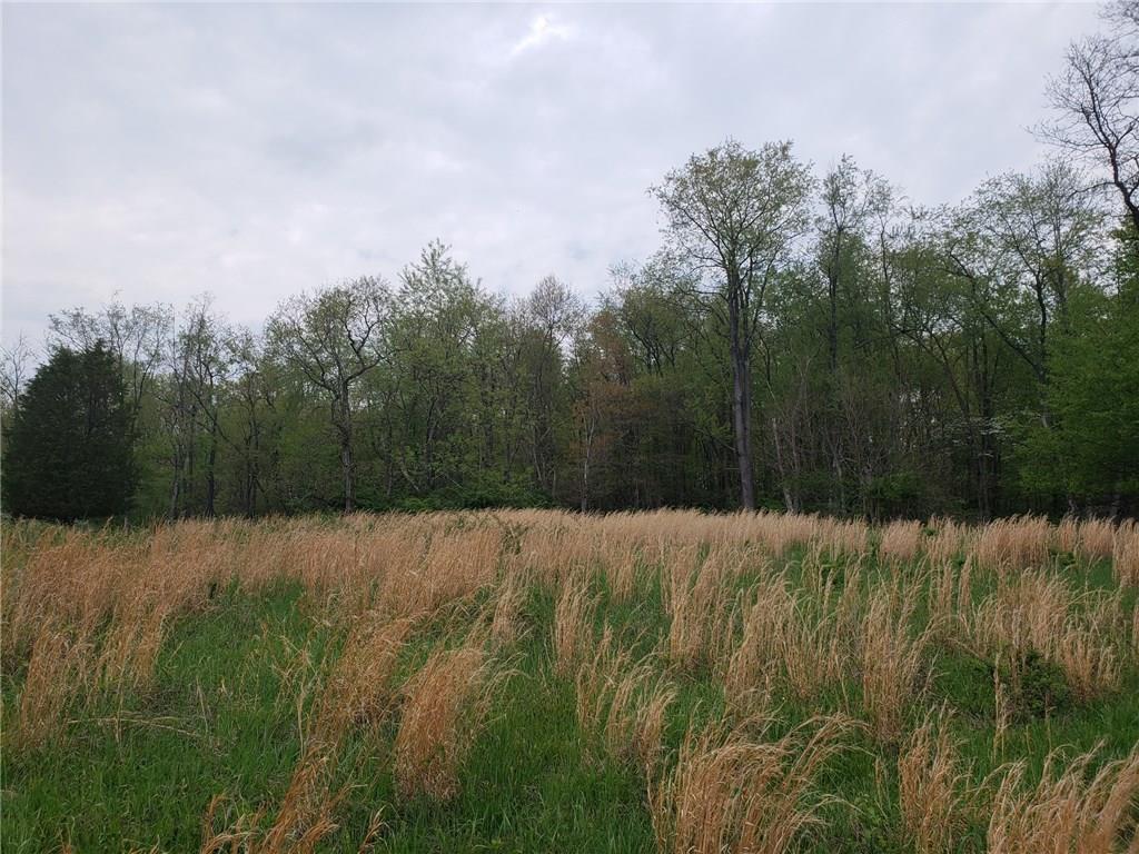 164 Stoup Road Mars, PA 16046 - Photo 6 of 23 Gallery Image 6