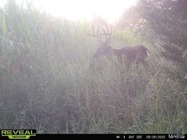 0 Sand Creek Bottom Road Greentop, MO 63546 - Photo 19 of 52