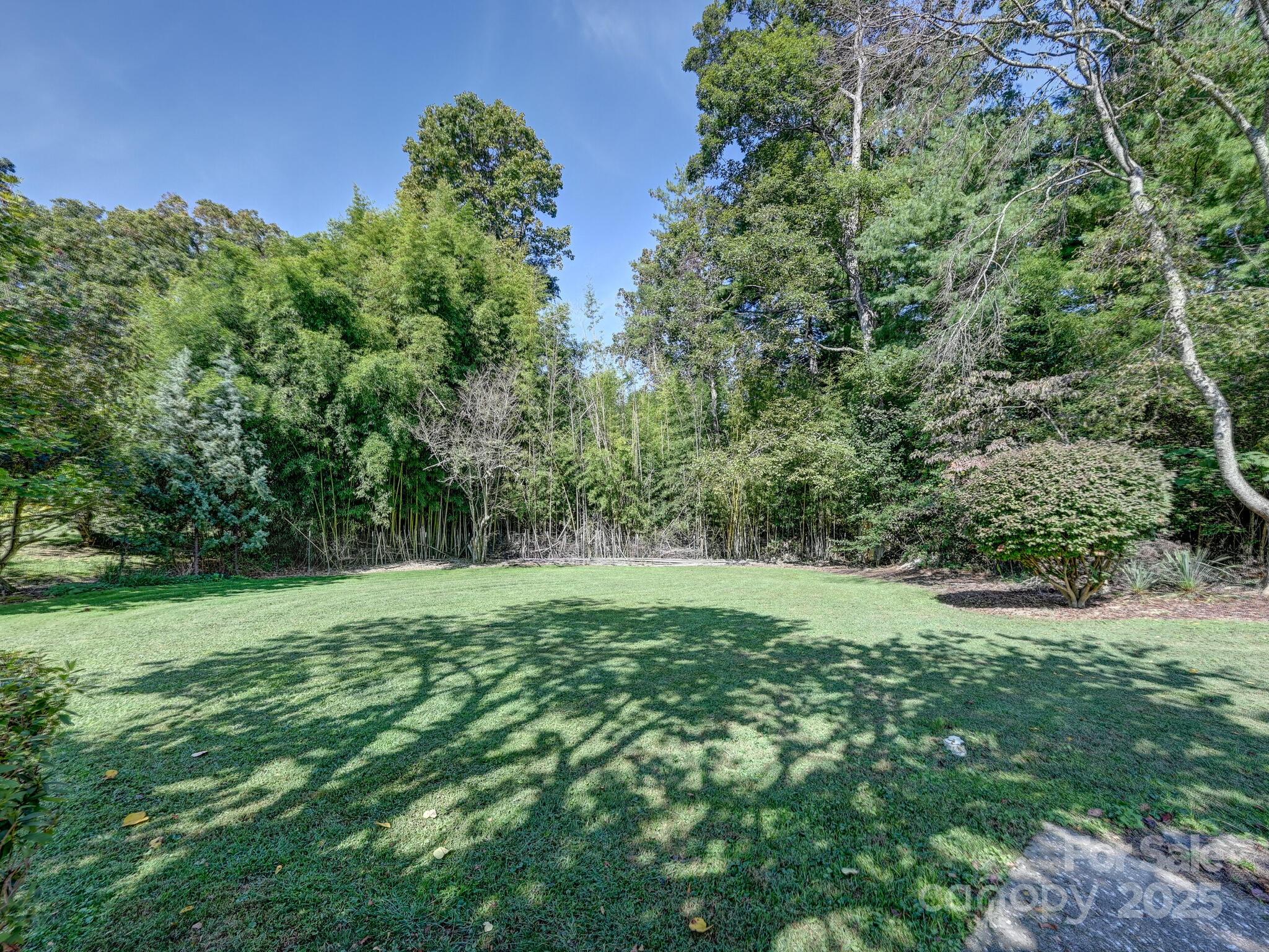 402 Balsam Road Hendersonville, NC 28792 - Photo 17 of 26 a view of outdoor space and yard