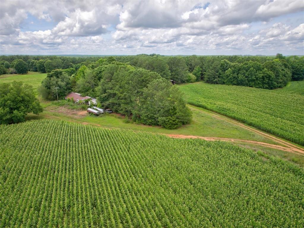 0 Marks Road Mansfield, GA 30055 - Photo 12 of 26
