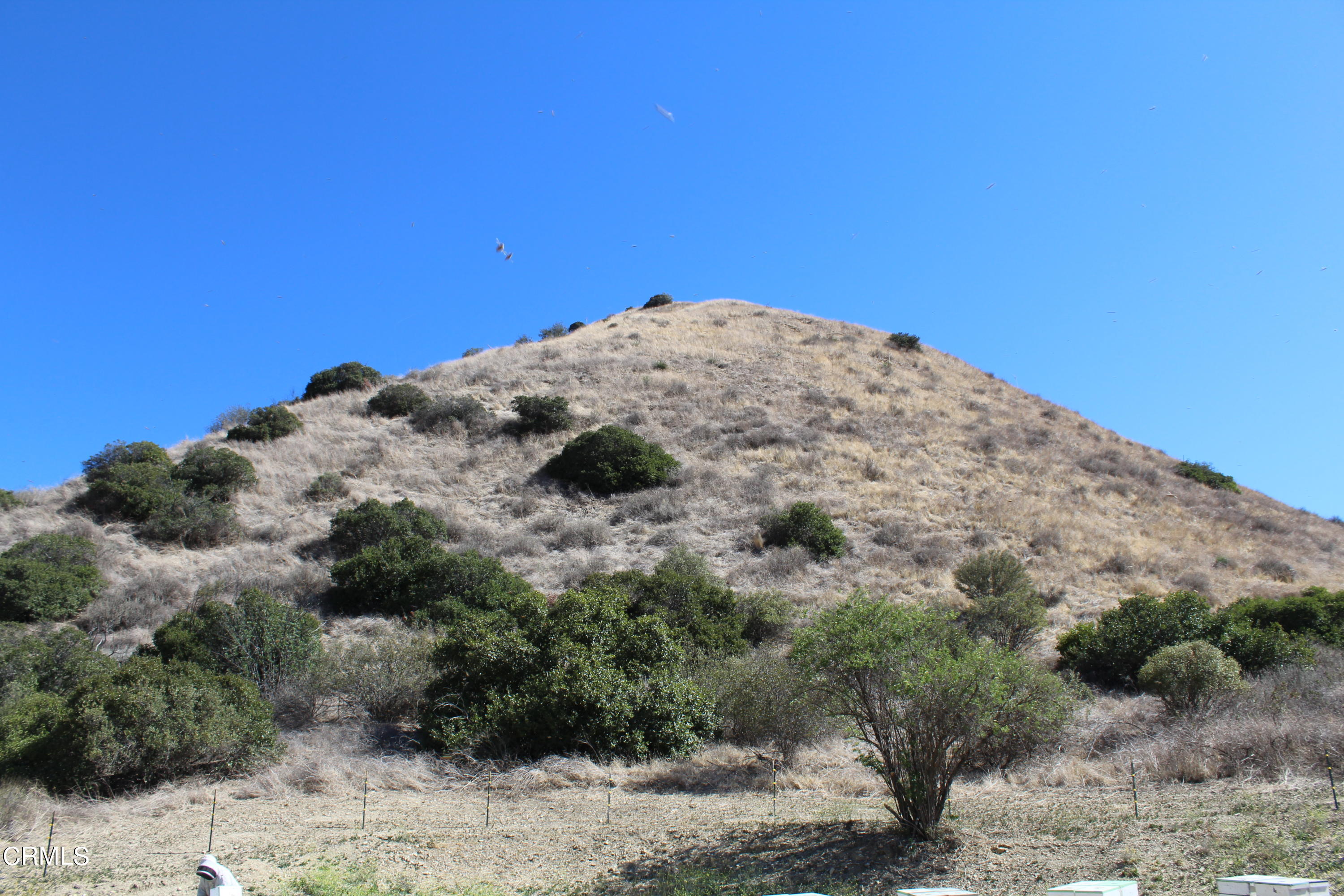 1050 Hopper Canyon Road Fillmore, CA 93015 - Photo 22 of 35 IMG_0560
