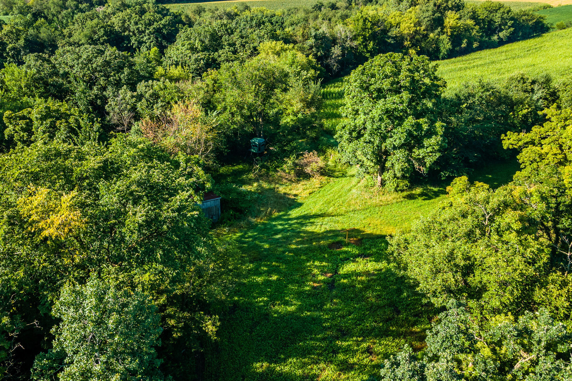 5292 Stenner Hill Road Marion, WI 53805 - Photo 36 of 69 Grant-County-WI-155-Acres-Land-For-Sale-