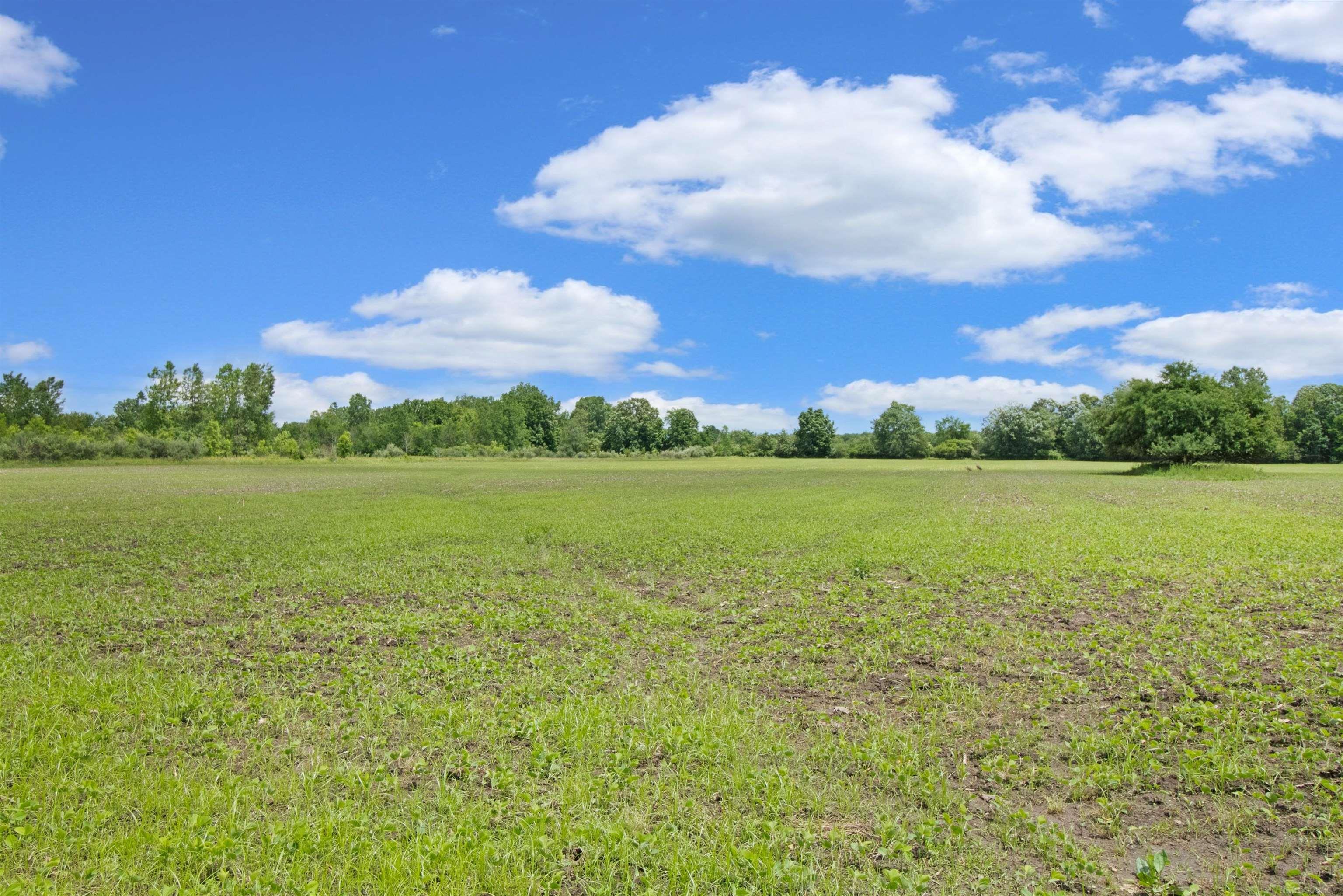 Quain Road Emmett, MI 48022 - Photo 3 of 8
