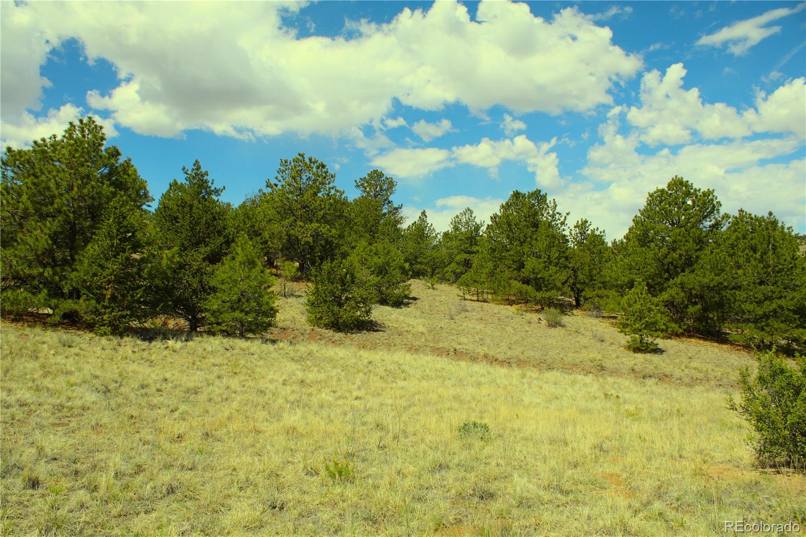 60 Hill Road Hartsel, CO 80449 - Photo 8 of 15