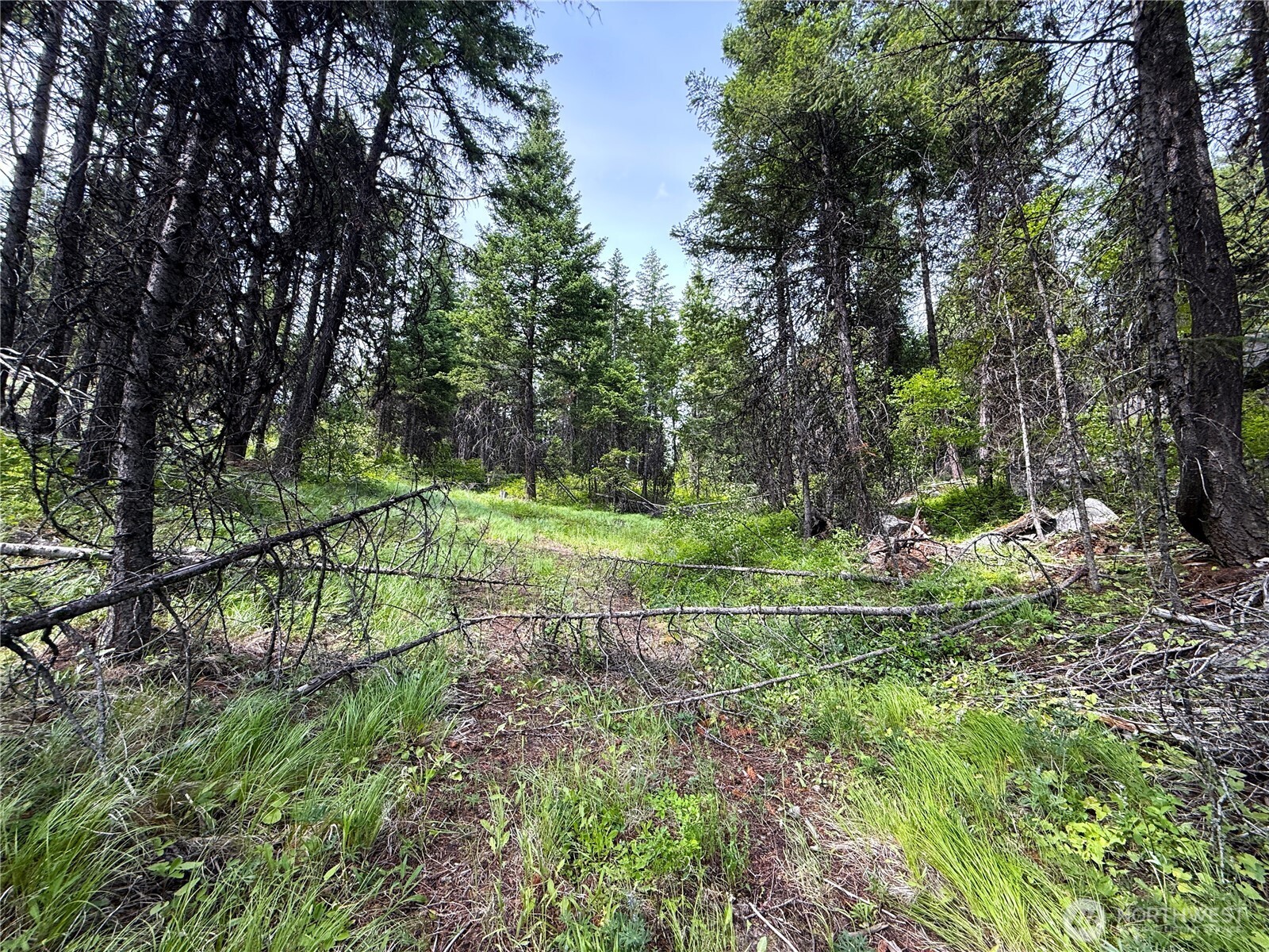 0 Mule Deer Road Republic, WA 99166 - Photo 5 of 9