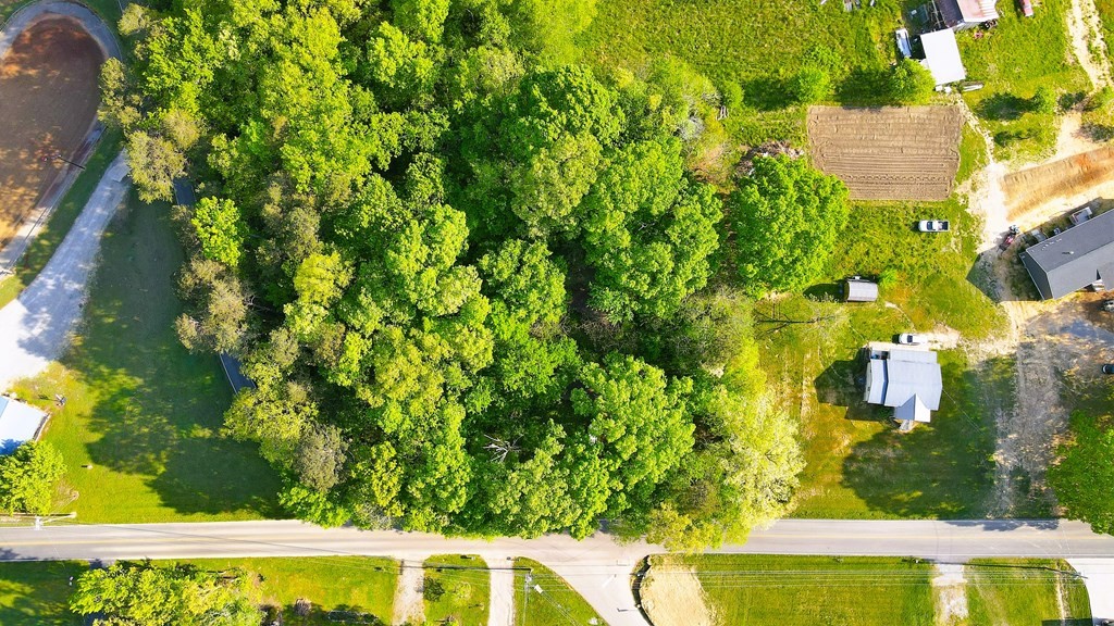 0 Maple Hill Road Loudon, TN 37774 - Photo 7 of 13