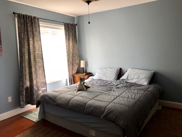 41 Barbaro Drive, Unit 11 Rochester, NH 03867 - Photo 8 of 17 Gallery Image 8