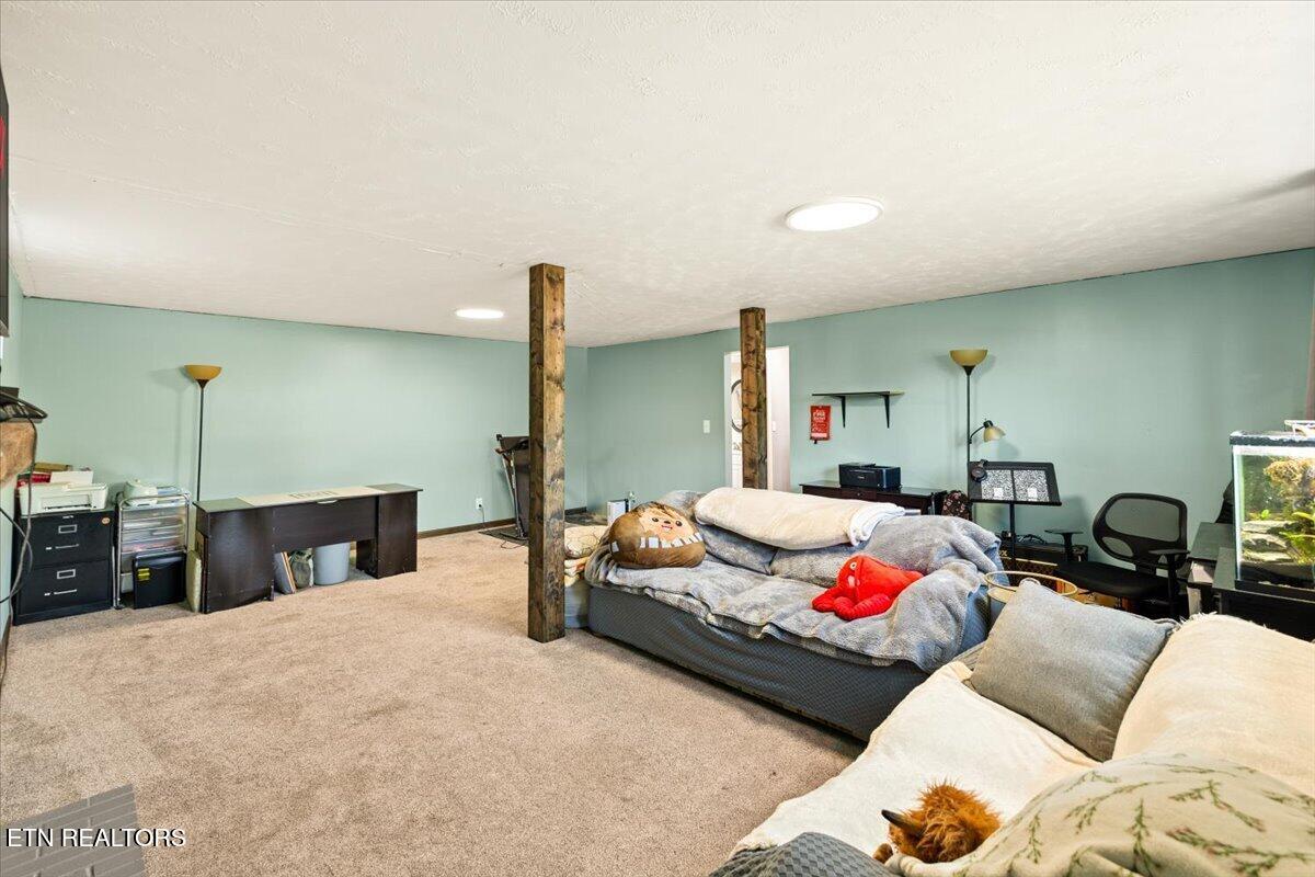 329 Summerville Road Kingsport, TN 37663 - Photo 27 of 42 31-128A4506