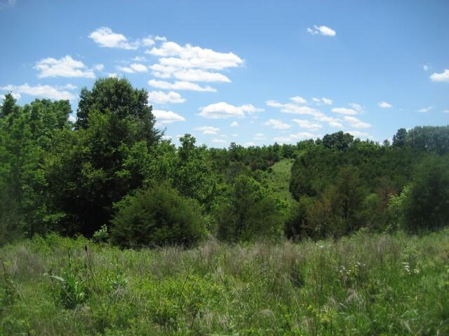 1234 A Rutherford School Road Lawrenceburg, KY 40342 - Photo 14 of 15 IMG_0413 (Small)