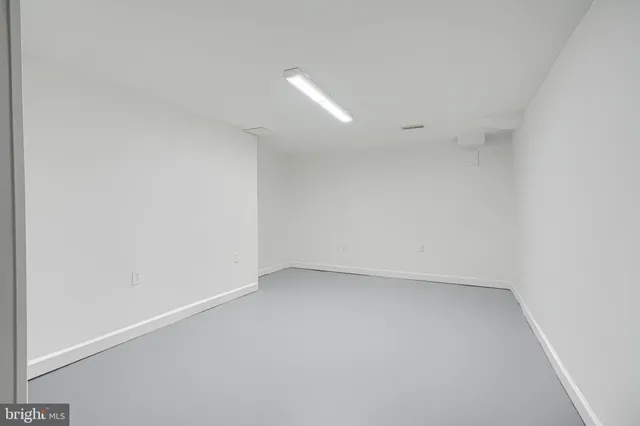 a view of a backyard with plants