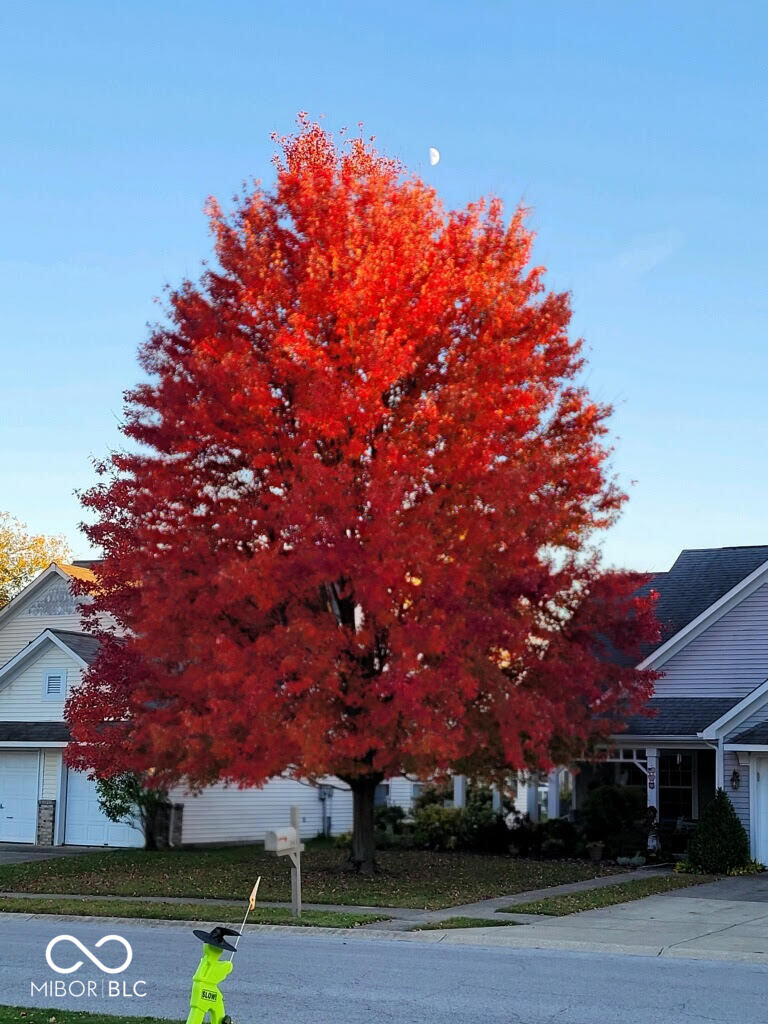 3843 Constitution Drive Carmel, IN 46032 - Photo 5 of 15