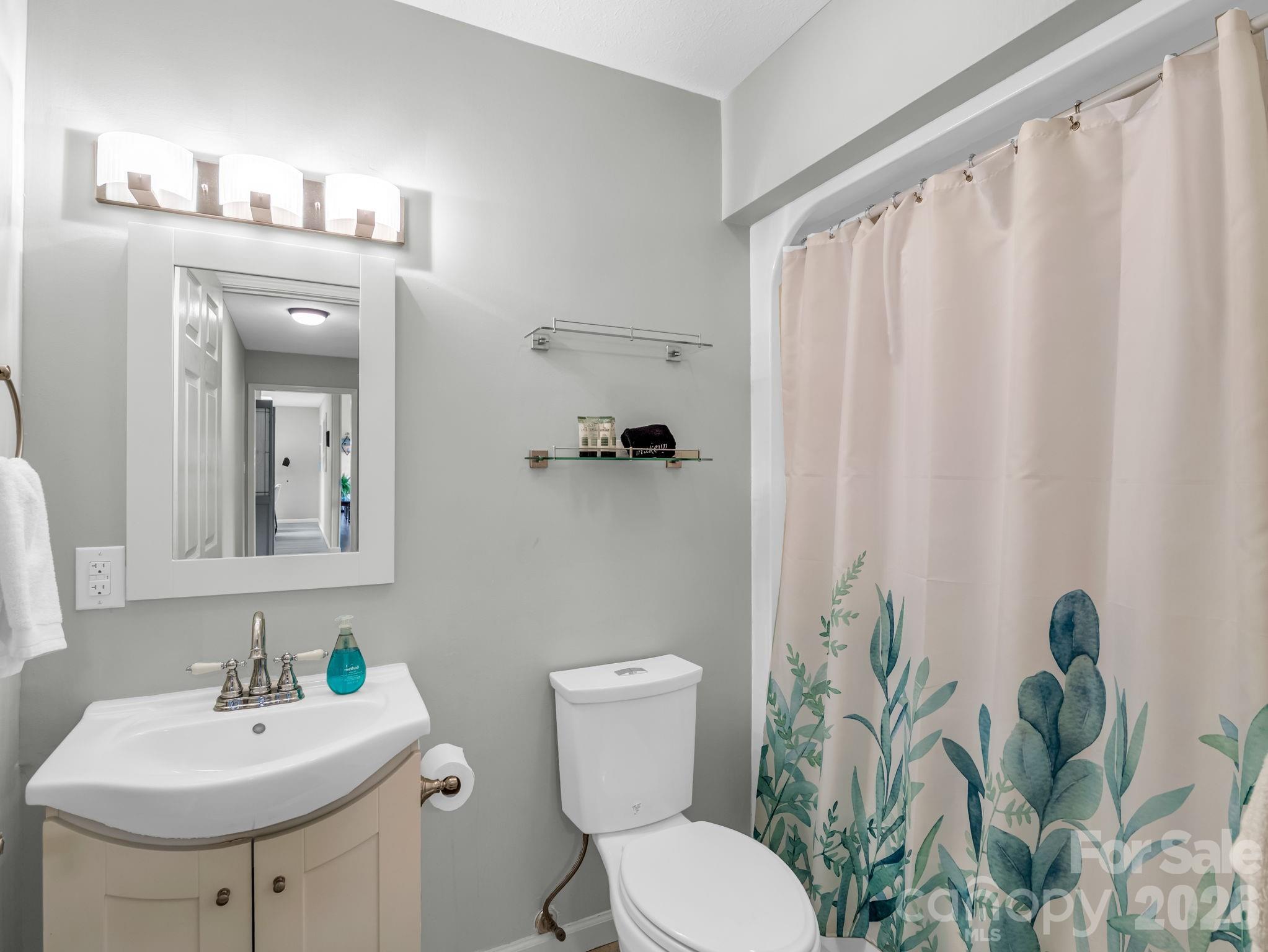 656 Cashiers Valley Road Brevard, NC 28712 - Photo 19 of 37 a bathroom with a sink a toilet and a mirror