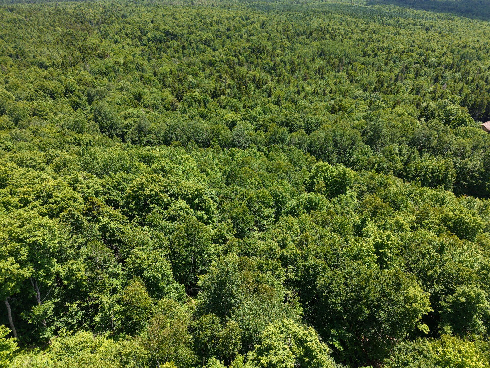 Mso3-l16 Flow Road New Portland, ME 04961 - Photo 16 of 30 DJI_20260712131302_0010_D