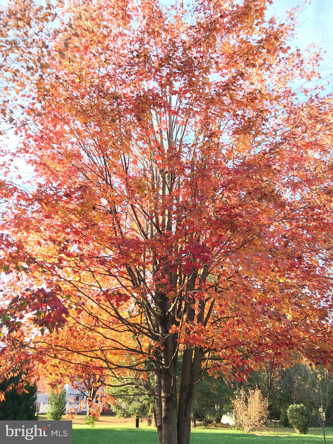 547 Wheatfield Drive Lititz, PA 17543 - Photo 62 of 74