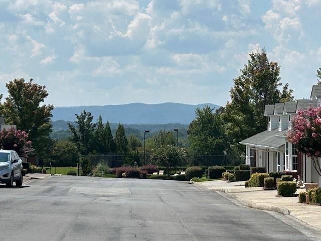 115 Old Mill Drive Calhoun, GA 30701 - Photo 3 of 28 a view of a street with a building in the background