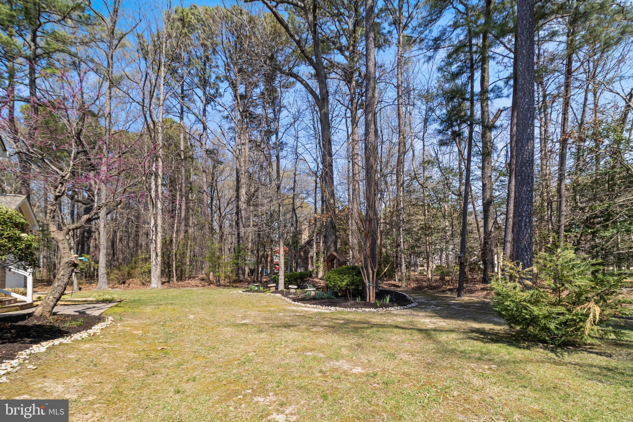 14850 King Charles Drive Issue, MD 20645 - Photo 41 of 63 a view of outdoor space with trees
