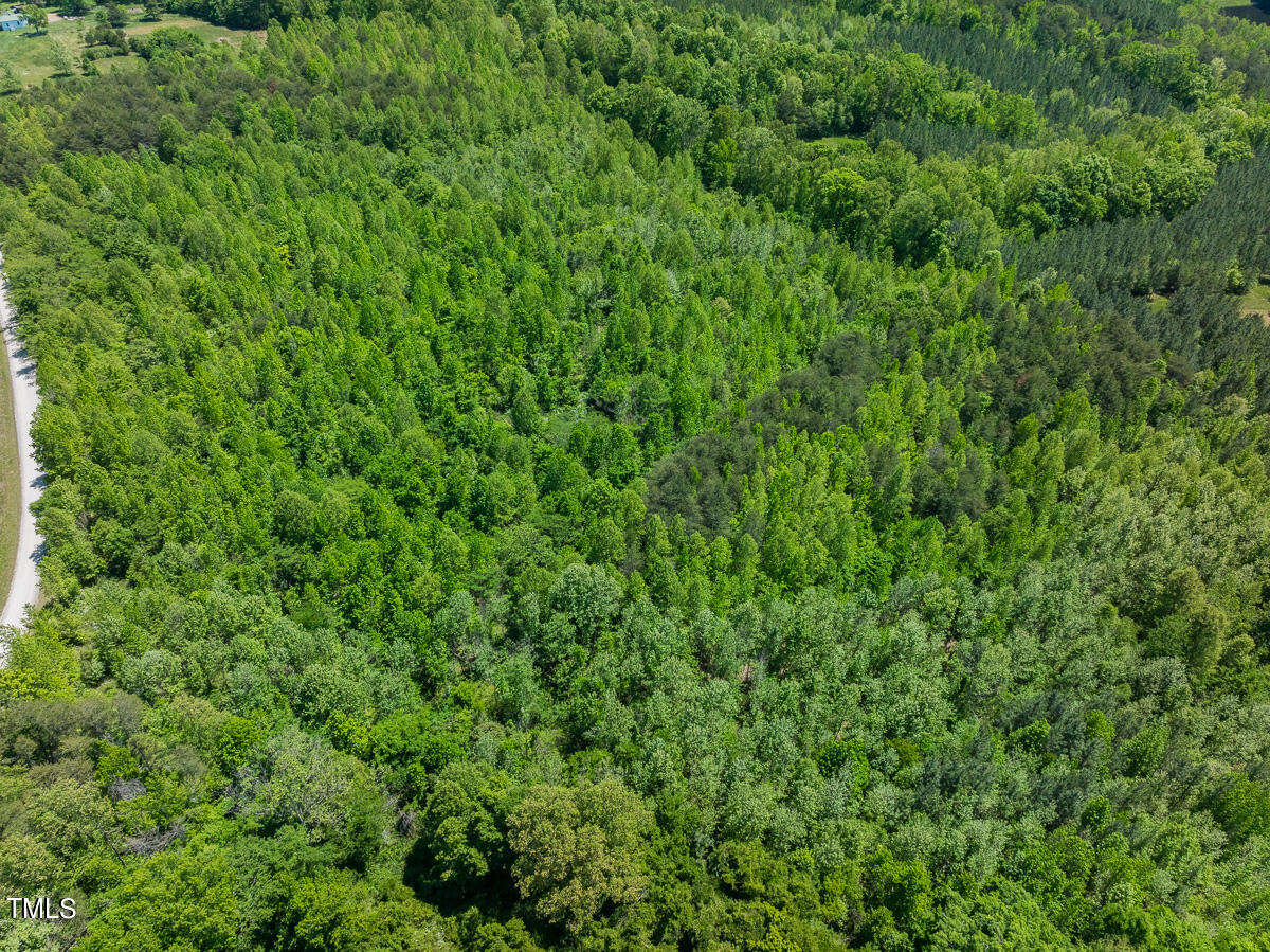 Lot-2-00 Wilson Road Providence, NC 27315 - Photo 33 of 39 Caswell Co. NC -Wilsons Ridge-Lot 2-32