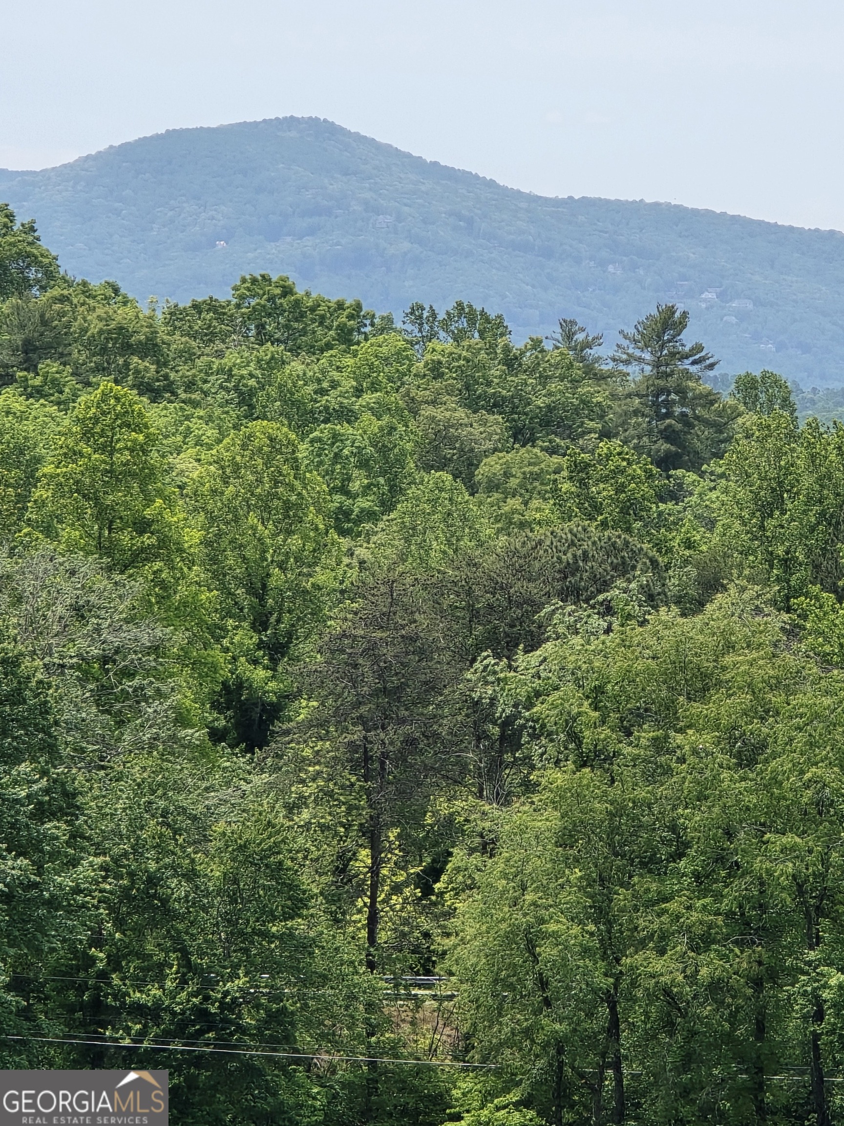 255 Burnt School House Road Hayesville, NC 28904 - Photo 2 of 58