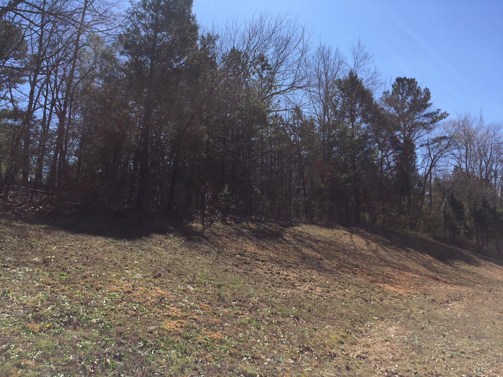 2081 Baggett Road Ringgold, GA 30736 - Photo 37 of 37 BAGGETT RD 33