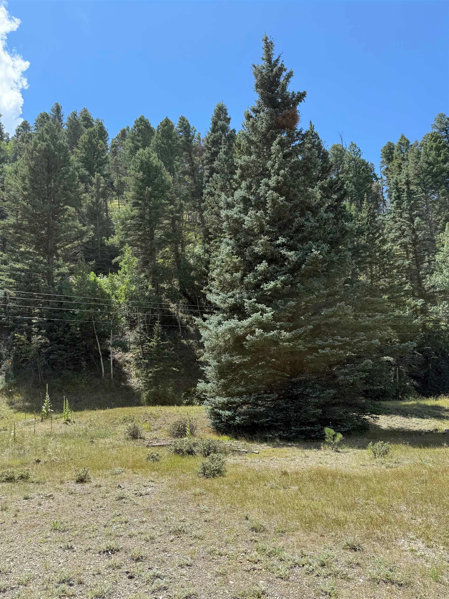 Lot 11 Riverside Court Red River, NM 87558 - Photo 3 of 4