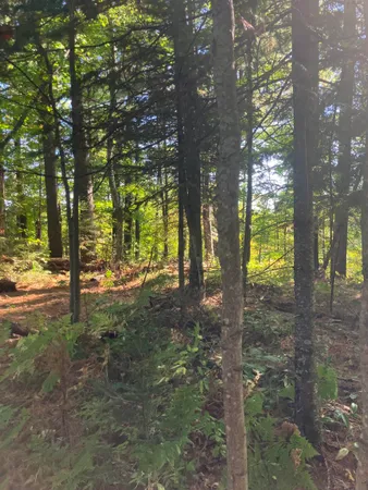 $791,000 | 44890 Potato River Road, Saxon, WI 54559