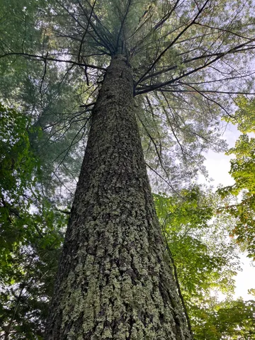 $791,000 | 44890 Potato River Road, Saxon, WI 54559